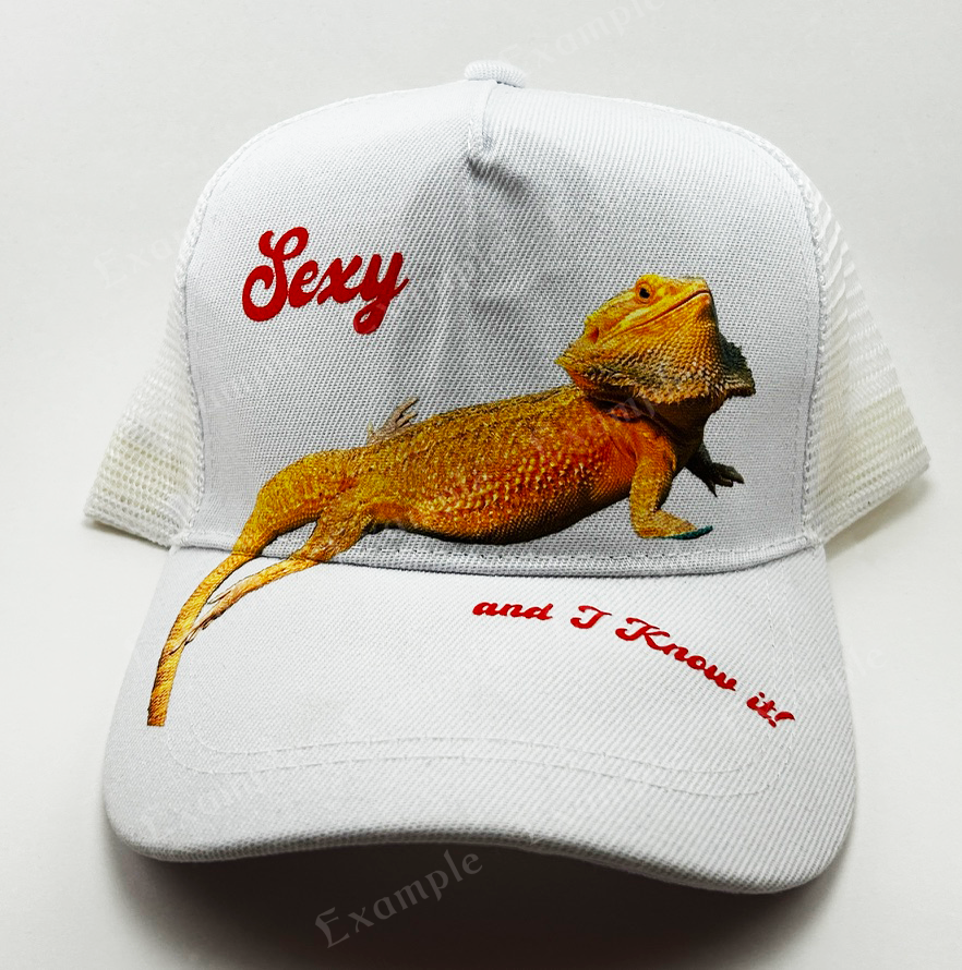 Adjustable Mesh Trucker Hat